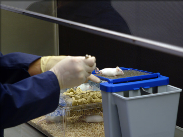 a lab technician working with bench-mate