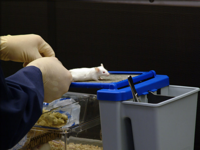 a lab worker using bench-mate