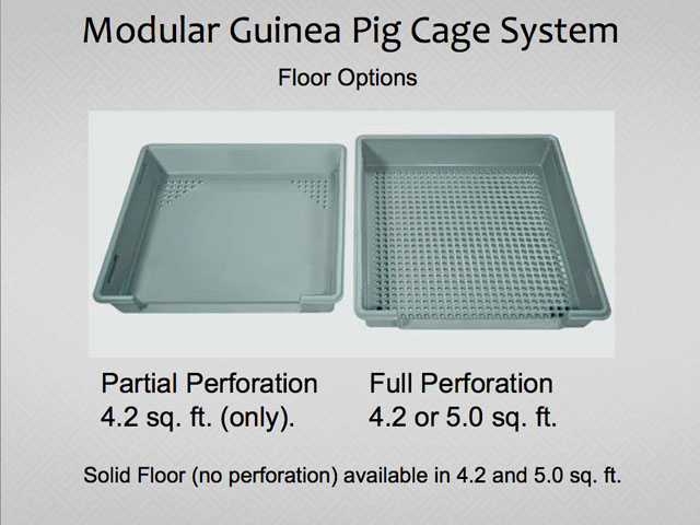 guinea pig cage system floor options