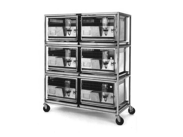 suspended rabbit cage units on a mobile rack